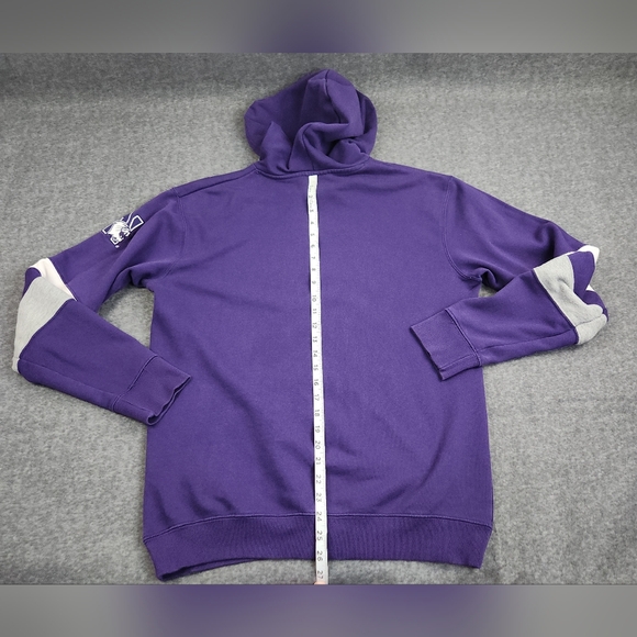 Champion Northwestern University Hoodie Mens Medium Multicolor Pullover Wildcat - Picture 3 of 7